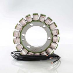 RICKS MOTORSPORT ELECTRICS 21327