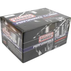 CYLINDER WORKS 610031