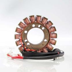 RICKS MOTORSPORT ELECTRICS 21225