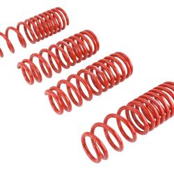 SK Lowering Springs Skunk2 Racing 519-05-1660