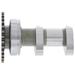 HDS Misc Powersports Hot Cams 2313-2IN