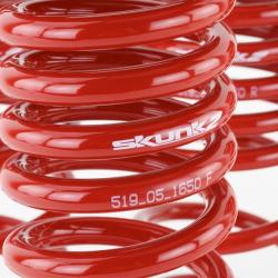 SK Lowering Springs Skunk2 Racing 519-05-1650