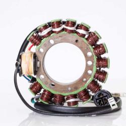 RICKS MOTORSPORT ELECTRICS 21601