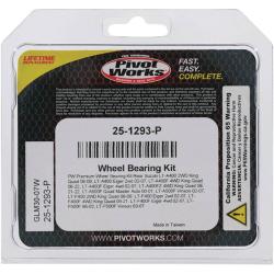 PIV Wheel Bearing Kit Pivot Works 25-1293-P