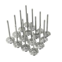 SKUNK2 RACING 310059535