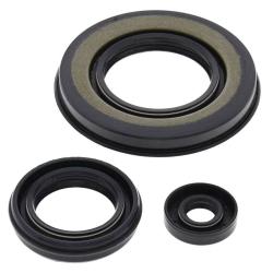 VERTEX PISTONS 55198