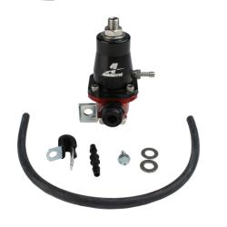 Aeromotive 13106