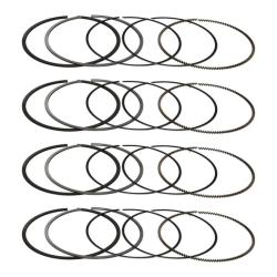 MANLEY PERFORMANCE 461000DT4