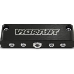 Vibrant 2691