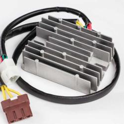 RICKS MOTORSPORT ELECTRICS 10010