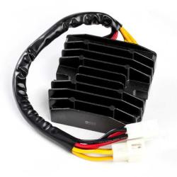 RICKS MOTORSPORT ELECTRICS 10122H