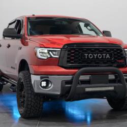 DIODE DYNAMICS DD0442