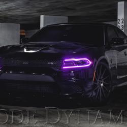 Diode Dynamics DD2003