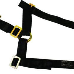 DRAGONFIRE RACING 522036