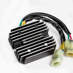 RICKS MOTORSPORT ELECTRICS 10242