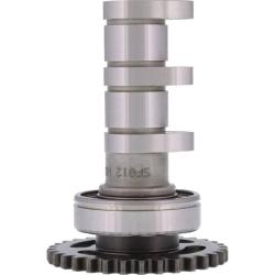Hot Cams 4012-1IN