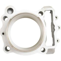 CYLINDER WORKS CW31017K01