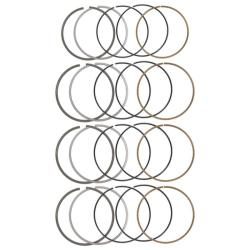 MANLEY PERFORMANCE 461000DT4