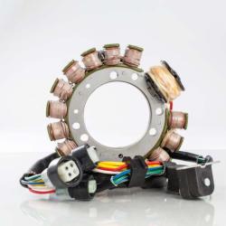 RICKS MOTORSPORT ELECTRICS 21933