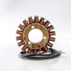 RICKS MOTORSPORT ELECTRICS 21309