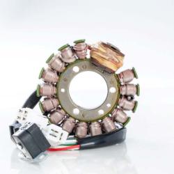 RICKS MOTORSPORT ELECTRICS 21912