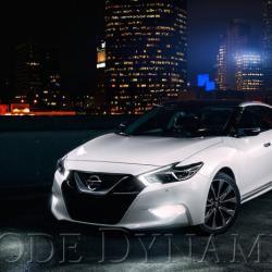 Diode Dynamics DD2013