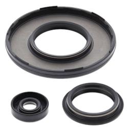 VERTEX PISTONS 55230
