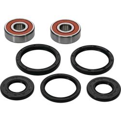 PIV Wheel Bearing Kit Pivot Works 25-1311-P