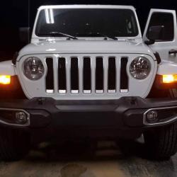 DIODE DYNAMICS DD0421