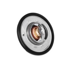 MISHIMOTO MMTSNIS02L