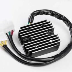 RICKS MOTORSPORT ELECTRICS 10138