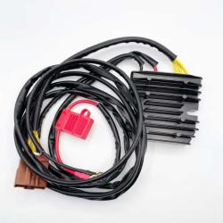 RICKS MOTORSPORT ELECTRICS 14040H