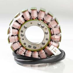 RICKS MOTORSPORT ELECTRICS 21011