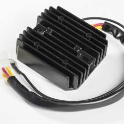 RICKS MOTORSPORT ELECTRICS 10223H