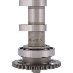 Hot Cams 2204-2E