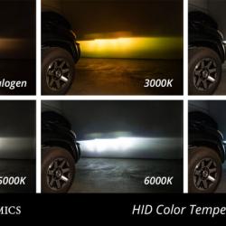 Diode Dynamics DD1204P