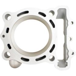 CYLINDER WORKS CW31017K01