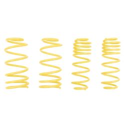 ST SUSPENSIONS 66205