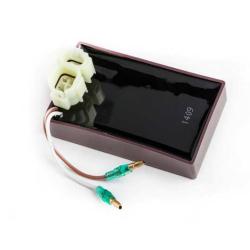 RICKS MOTORSPORT ELECTRICS 15508