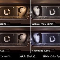 DIODE DYNAMICS DD0031P