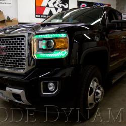 Diode Dynamics DD2010