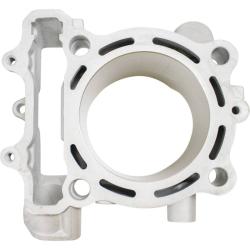 CYLINDER WORKS 410041