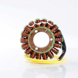 RICKS MOTORSPORT ELECTRICS 21711