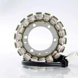 RICKS MOTORSPORT ELECTRICS 21001