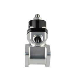 Aeromotive 13217