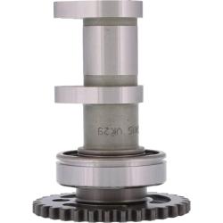 HDS Misc Powersports Hot Cams 2218-1IN