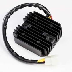 RICKS MOTORSPORT ELECTRICS 10665