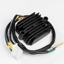 RICKS MOTORSPORT ELECTRICS 10102