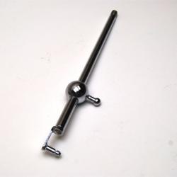 Fidanza 891820