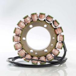 RICKS MOTORSPORT ELECTRICS 21324